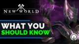 New World Void Gauntlet What You Should Know