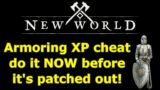 New World armoring XP cheat, do this NOW before it's patched out