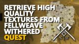 Retrieve High Quality Textures from Fellweave Withered New World