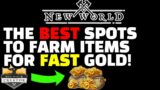 The BEST Locations to Farm to make FAST GOLD in New World