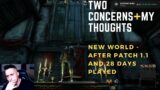 Two Concerns on New World and My Thoughts on The Game