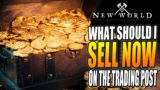 What Should I Sell at the Trading Post Now in New World – New World Money