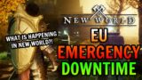 What is Happening to New World & Its EU Servers Right Now?!