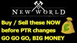 BUY / SELL THESE NOW before PTR changes for BIG MONEY, GO GO GO for insane New World money