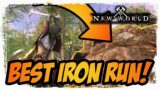 Best Iron Run! Monarch's Bluffs INSANE YIELD! | New World