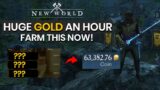 Farm This NOW & Make Easy Gold In New World Before It's Too Late (Gold Guide)