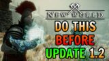 How To Prepare & Make Gold From Upcoming December New World Update