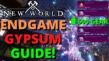 New World Endgame Expertise Gypsum System Explained! High Water Mark Changes!