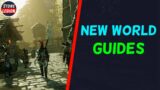 New World Guide: How To Mass Salvage Easily!