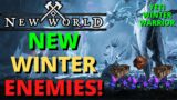 New World New Winter Enemies & Loot! Winter Warrior Yeti Ice Caves!