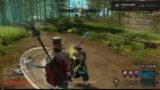 RANK 1 Most Annoying pvper – 0 IQ plays in new world.