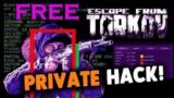 HACK FOR ETF / ESCAPE FROM TARKOV | FREE DOWNLOAD | WORKING 2021