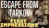 Escape From Tarkov, First Impressions by a New Player