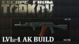 Escape From Tarkov Level 1 Trader AK Build
