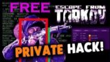 Escape from Tarkov Free Hack | EFT CHEAT 2021 | ESP + AIMBOT