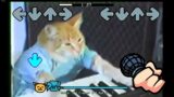 Friday Night Funkin' Vs Keyboard Cat