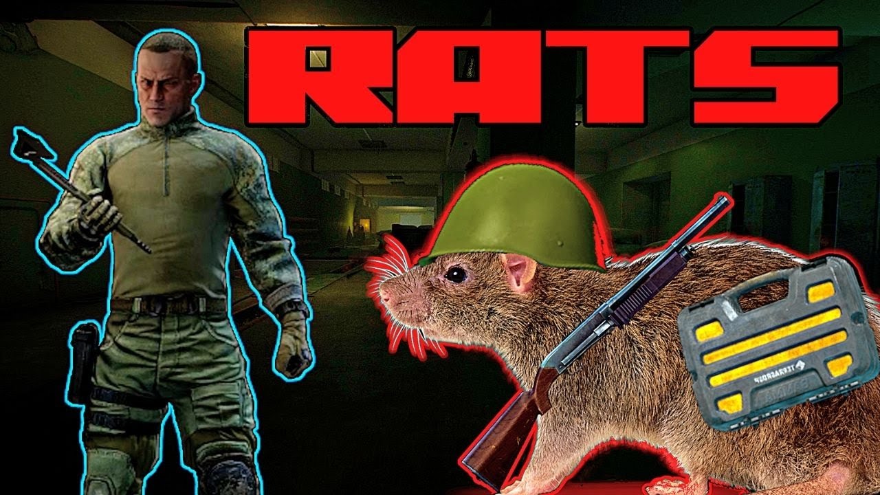 Rat scanner