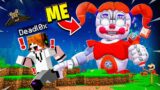 Trolling With Circus Baby.. (Minecraft FNAF)