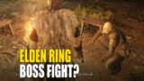Elden Ring: Patches boss & merchant option