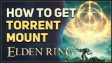 How to get Torrent Mount Elden Ring