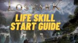 Life Skills Guide & Importance. Lost Ark