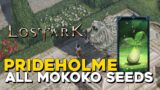 Lost Ark All Prideholme Mokoko Seed Locations