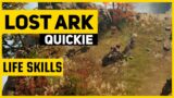 Lost Ark QUICKIE | Life Skills Overview