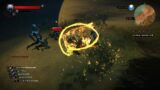 POV: You are ready for Elden Ring but its 24th only | Witcher 3