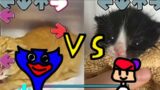 Very angry cat Vs Tower in kitten(FRIDAY NIGHT FUNKIN – HUGGY WUGGY)