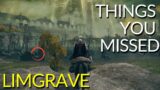 12 Things You Missed In Limgrave!! [probably] – Elden Ring Guides & Tutorials