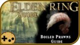 Boiled Prawn Full Guide – Location, Use, Quest line. Elden Ring Field Guide