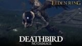 Deathbird Boss Fight (No Damage) – Limgrave [Elden Ring]