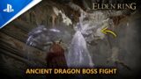 ELDEN RING | Ancient Dragon Boss Fight