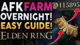 Elden Ring – AFK FARM 1 MILLION A NIGHT! Easy AFK Farm For Leveling Fast!