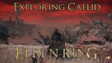 Elden Ring – Exploring the Caelid Region