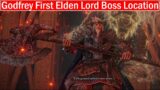 Elden Ring Godfrey First Elden Lord Boss Location