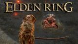 Elden Ring – Make Friends, Not War