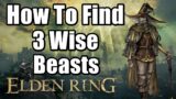 Elden Ring Sorcerer's Isle – Testu's Rise Tower Guide – How To Find 3 Wise Beasts