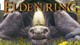 Elden Ring – What happens if you Kill Turtle Pope (Miriel, Pastor Of Vows)