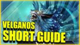 LOST ARK Velganos mechanics Guide (SHORT VERSION)