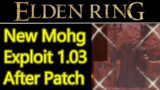 NEW Elden Ring Mohg Lord of Blood Exploit AFTER PATCH 1.03, cheese kill no fighting