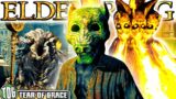 The Erdtree Avatar, The Cat Gank & The Bear Wolf War | Elden Ring
