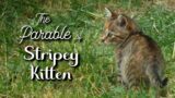 12.06.2022 – The Parable of Stripey Kitten