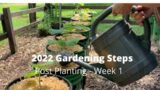 2022 Gardening Steps Post Planting – Week 1
