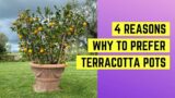 4 reasons WHY to prefer terracotta pots from Impruneta