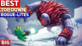 BEST Top Down Action Rogue-like Indie Games of ALL TIME