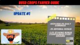 BUSD Crops Farmer Harvest Update #1 – Earn 8% Daily on your investment – High-Risk Project