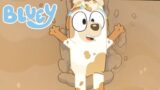 Bald Judo! Bluey Dirt Full Episode Review and Quiz | Judo cuts her hair!  Bluey and Bingo play!