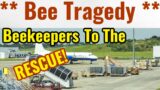 Beekeeping Tragedy At Atlanta Airport | Beekeepers To The Rescue
