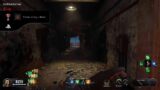 Black Ops 4 Zombies Throw a Dog a Bone Trophy (Blood of the Dead 100% Complete)